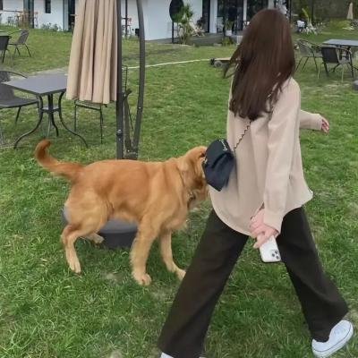 正发生